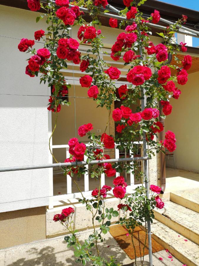 טוזלה Brize Guest House מראה חיצוני תמונה